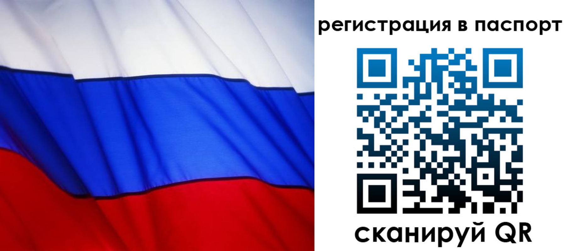 прописка 2025 в Ясногорске